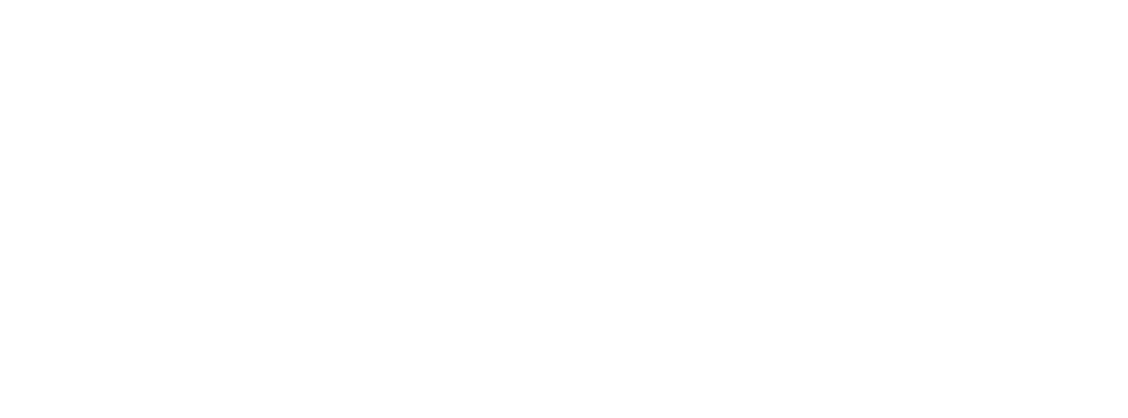 Spiffy-Logo-White